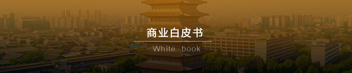 商业白皮书