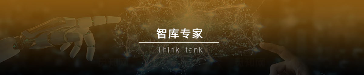智库专家